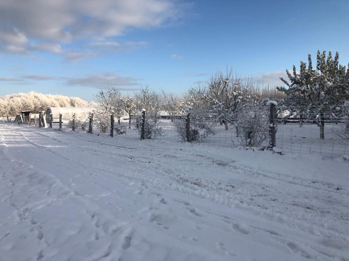 Kantonia Bobolice  Dış mekan fotoğraf